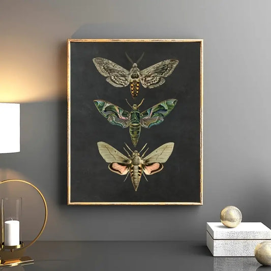 Vintage Nature Moth Home Decor Wall Art Print