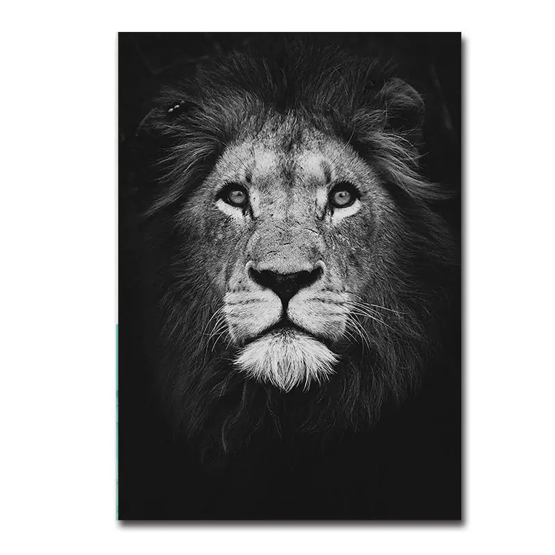Modern Black & White Animal Canvas Wall Art