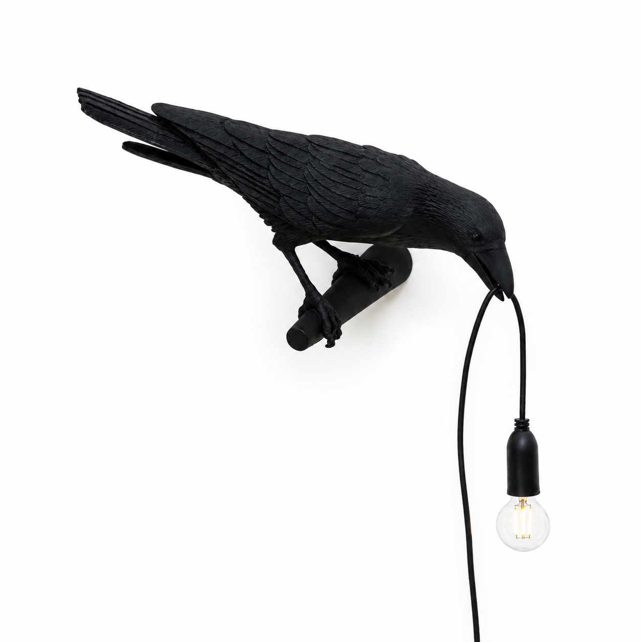 Whimsical Black Crow Wall or Desk Accent Lamp