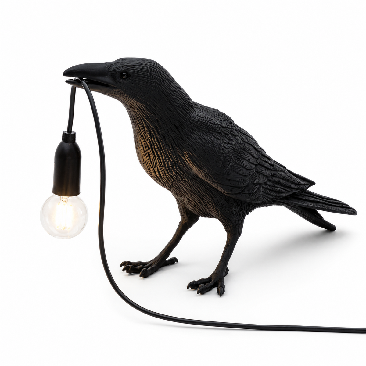 Whimsical Black Crow Wall or Desk Accent Lamp
