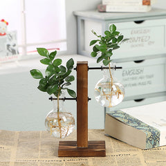Clear Hydroponic Vases - Showcase Living Art Rooted in Style