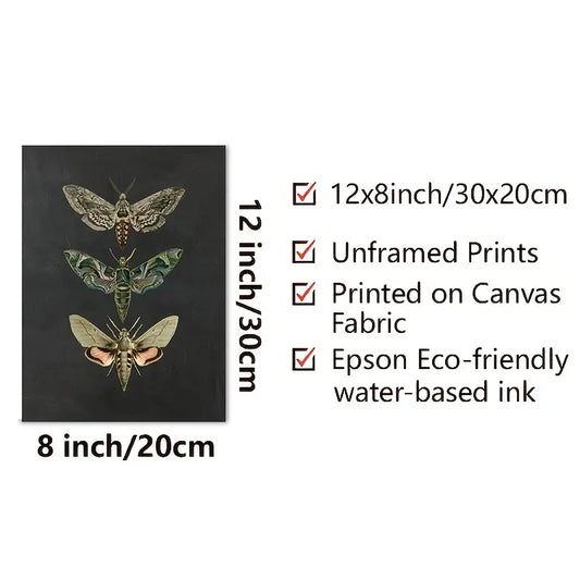 Vintage Nature Moth Home Decor Wall Art Print