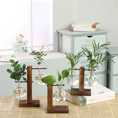 Clear Hydroponic Vases - Showcase Living Art Rooted in Style