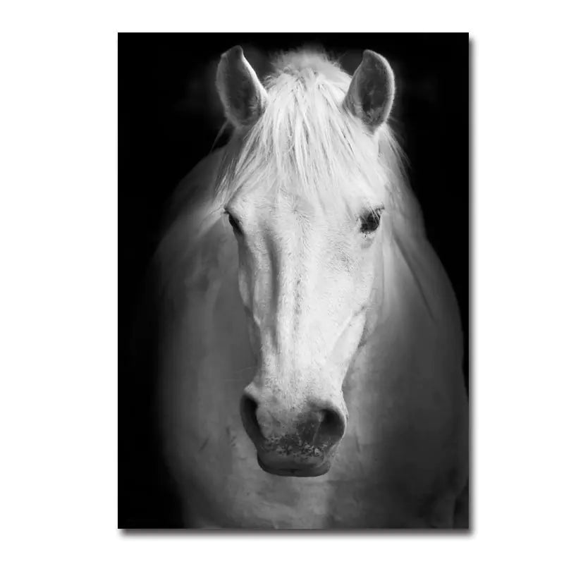 Modern Black & White Animal Canvas Wall Art