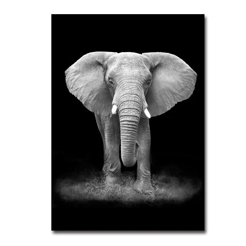 Modern Black & White Animal Canvas Wall Art