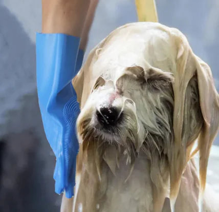 Stressless Pet Grooming Gloves for Dogs, Cats & Owners