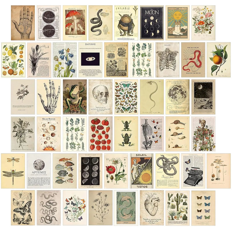 50PC Vintage Cottage Core, Botanical, Wall Collage Kit – 50 Aesthetic Prints for Room Decor